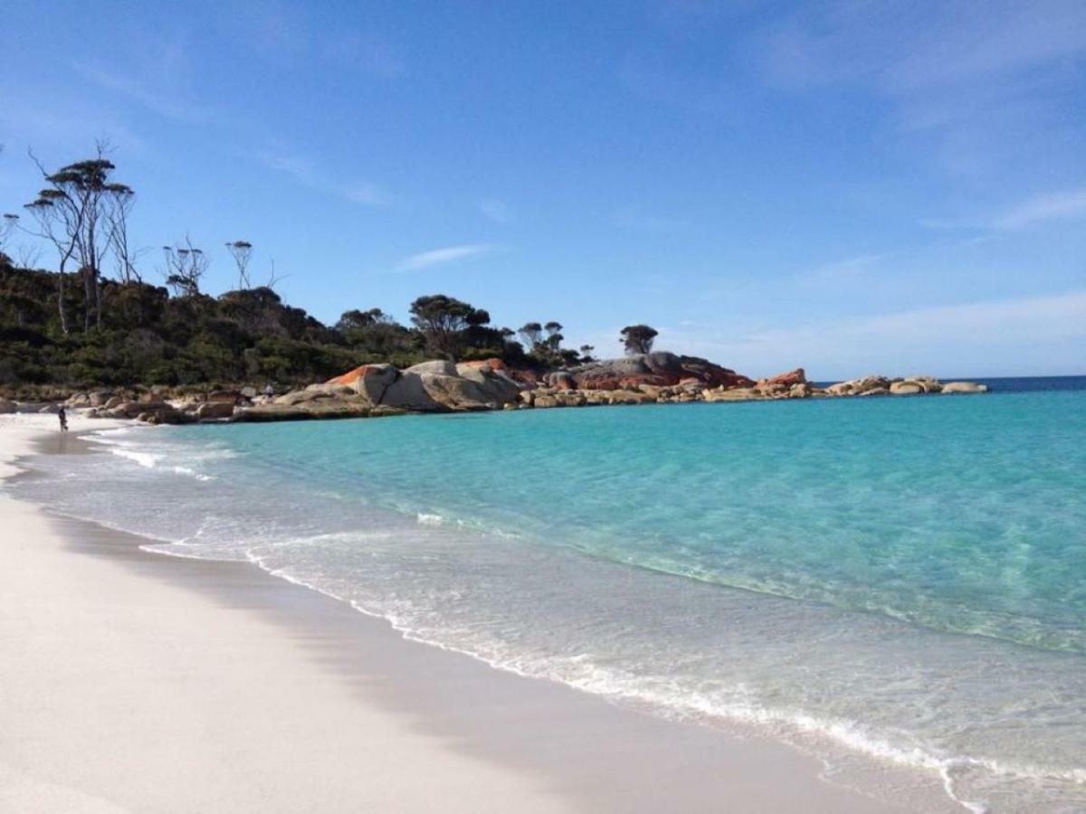The Loft @ Bay Of Fires Seascape Apartment Binalong Bay Ngoại thất bức ảnh